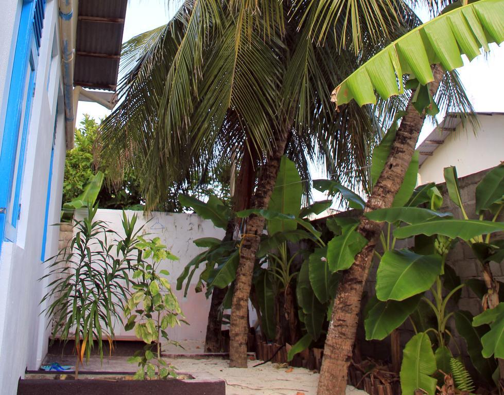Rip Tide Vacation Inn, K.Guraidhoo Guraidhoo  Extérieur photo