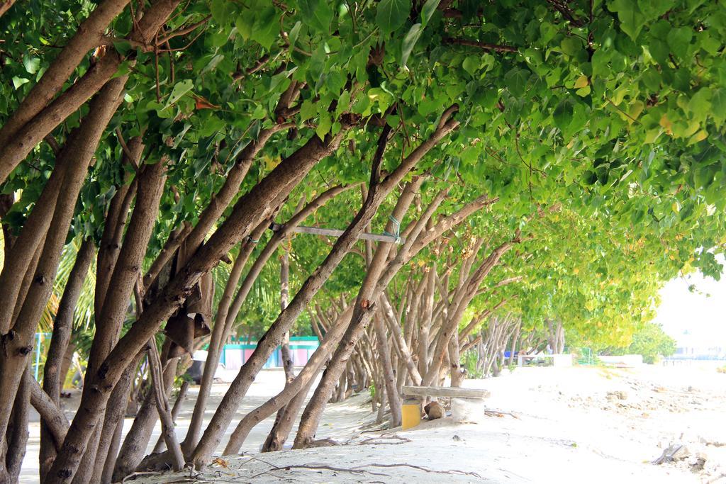 Rip Tide Vacation Inn, K.Guraidhoo Guraidhoo  Extérieur photo
