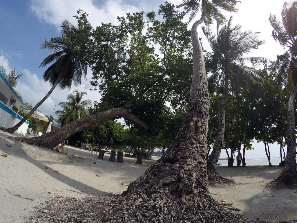 Rip Tide Vacation Inn, K.Guraidhoo Guraidhoo  Extérieur photo