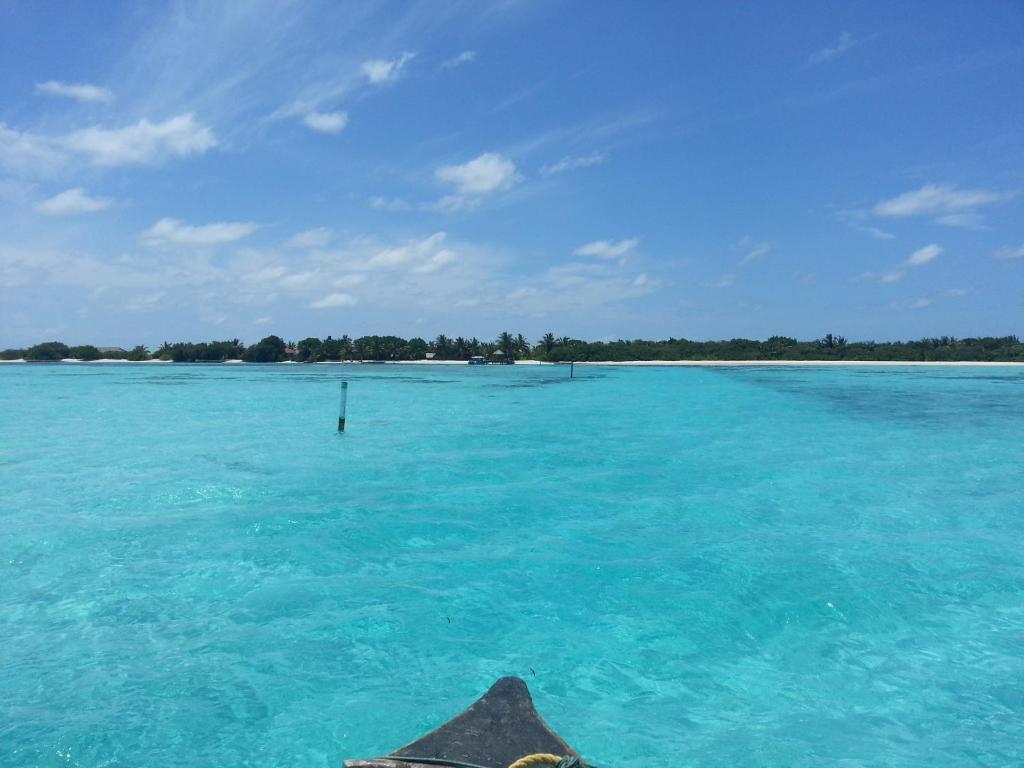 Rip Tide Vacation Inn, K.Guraidhoo Guraidhoo  Extérieur photo