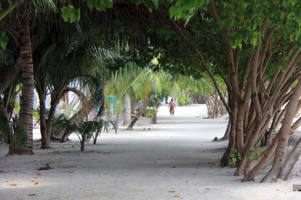 Rip Tide Vacation Inn, K.Guraidhoo Guraidhoo  Extérieur photo