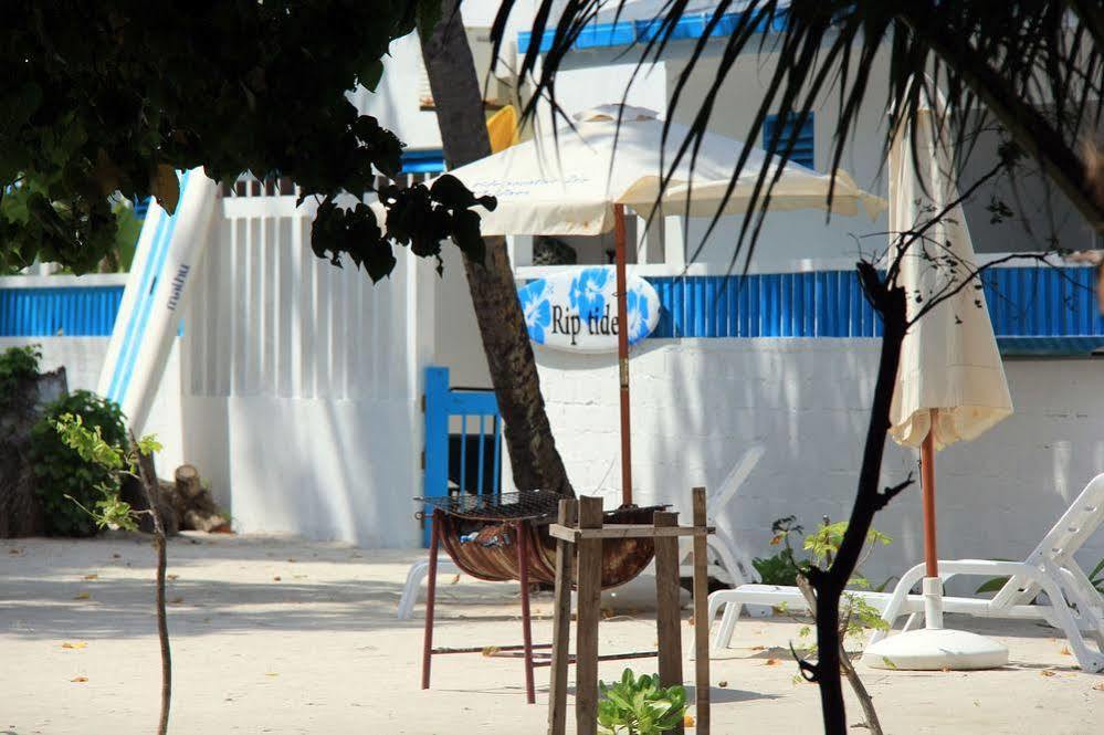 Rip Tide Vacation Inn, K.Guraidhoo Guraidhoo  Extérieur photo