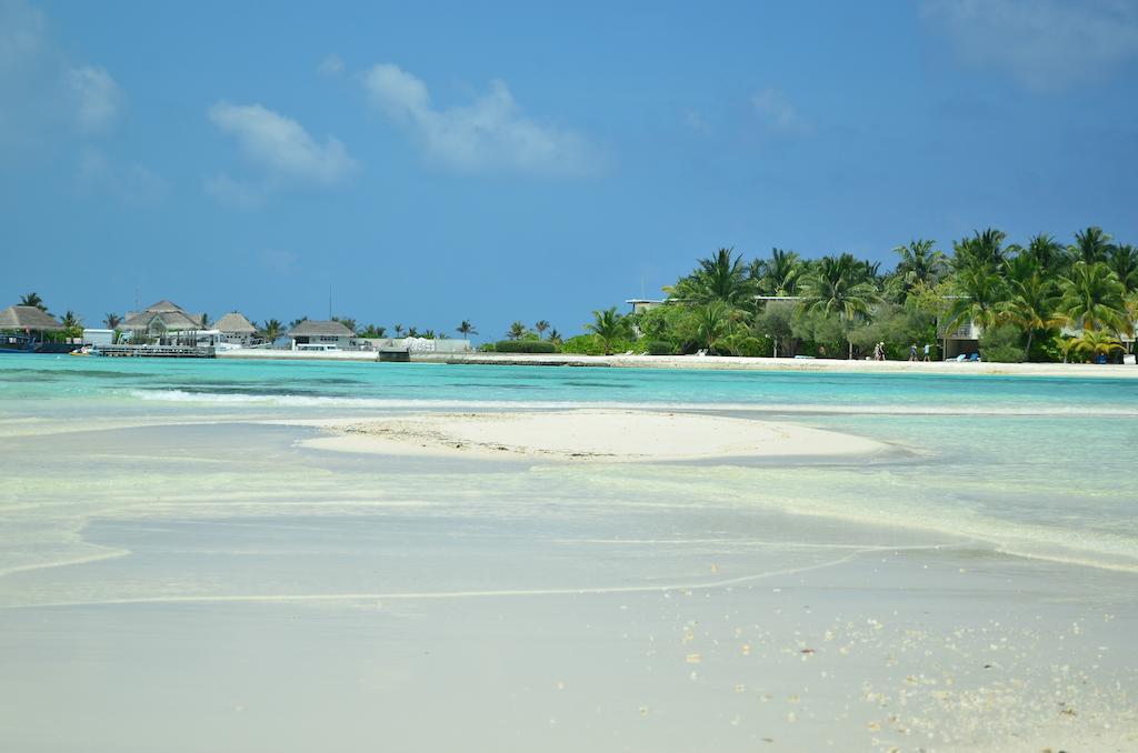Rip Tide Vacation Inn, K.Guraidhoo Guraidhoo  Extérieur photo