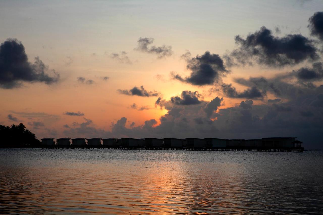 Rip Tide Vacation Inn, K.Guraidhoo Guraidhoo  Extérieur photo